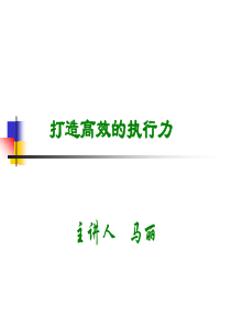 打造高效执行力9781331029