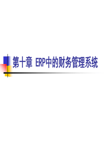 ERP中的财务管理系统