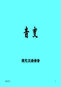 现代汉语语音-音变