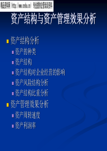 资产结构与资产管理效果分析