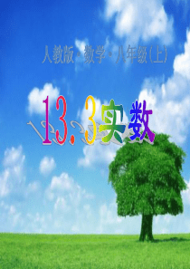 13.3《实数》课件(人教新课标)