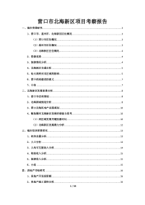 营口市北海新区项目考察报告