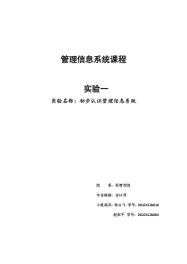 管理信息系统实验报告