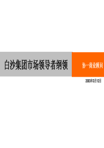 4A免费策划：白沙集团市场策略 一流