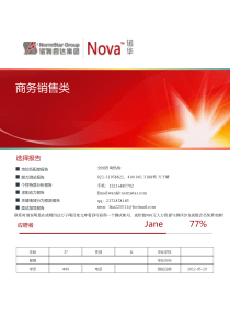 Nova商务销售岗位在线人才测评报告样例