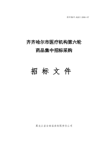 XX市医疗机构第六轮药品集中招标采购招标文件（DOC 44页）