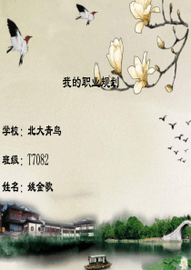 T7082北大青鸟洛阳融科—我的职业规划