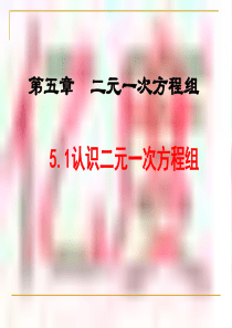 《认识二元一次方程组》课件1