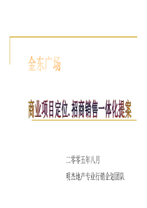 金东广场商业项目定位招商销售一体化提案-75页