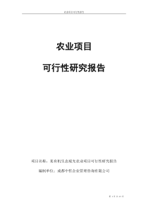 农业项目可行性报告