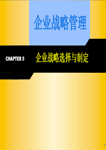 5企业战略选择与制定(ppt 247)