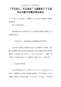 “不忘初心、牢记使命”主题教育8个方面突出问题专项整治情况报告