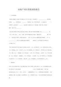 房地产项目贷款调查报告范文