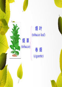 第1章-1烟草起源与传播.ppt