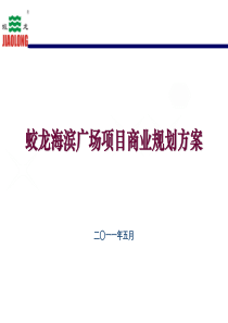 蛟龙港海滨广场项目商业规划方案