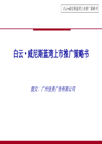 6白云威尼斯蓝湾上市推广策略书