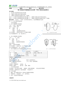 秋北师大版七上第6章《绿色开花植物的生活史》word学案