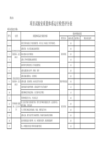 附录4 项目试验室质量体系运行检查评分表