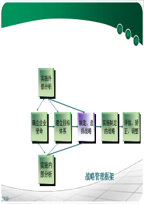 8企业战略的选择分析