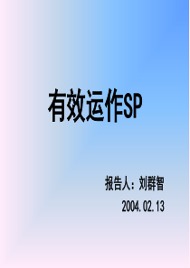 有效运作SP2004213