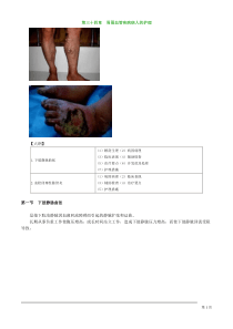 初级护师考试辅导-外科护理学第三十四章周围血管疾病病人的护理