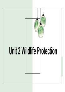 新人教版必修第二册-unit-2-wildlife-protection-words单词及详解课件