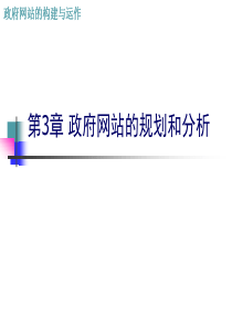 政府网站的构建与运作-政府网站的规划和分析3（PPT107页）