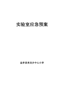 实验室应急预案及程序