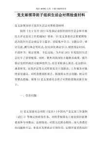 党支部领导班子组织生活会对照检查材料