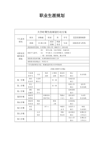 职业生涯规划实例一