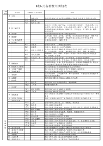 财务费用明细表(详细说明)