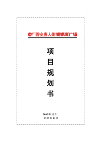 西安唐人街铜锣湾广场项目定位规划建议书_87页