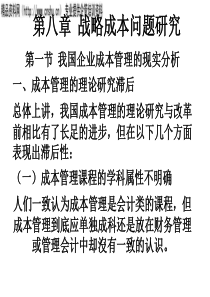 AA第八章战略成本问题研究