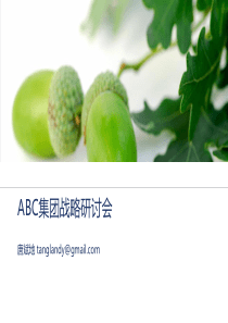 ABC集团战略研讨会材料