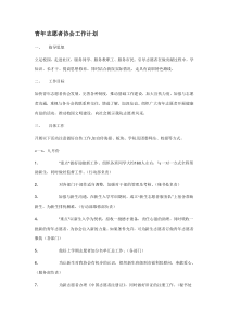 青年志愿者协会工作计划