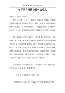 对标学习考察心得体会范文