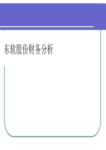 某软件公司财务分析PPT(28张)