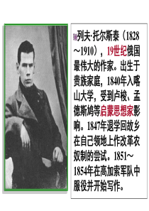 《娜塔莎》课件