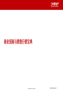 商业招商与销售行销宝典