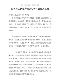 公司员工执行力培训心得体会范文三篇