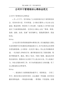 公司中干管理培训心得体会范文