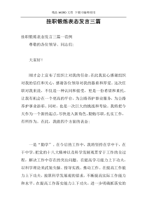 挂职锻炼表态发言三篇