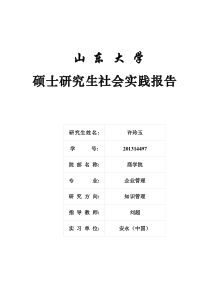 (完整版)安永实习报告