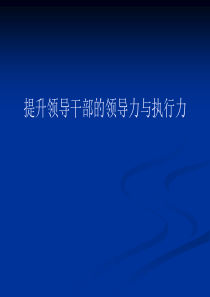 提升领导干部的领导力与执行力