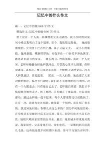 记忆中的什么作文