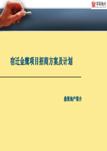 宿迁金鹰项目招商方案及计划