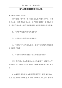 矿山挂职锻炼学习心得