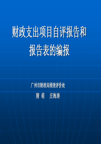 财政支出项目自评报告表填表说明