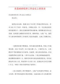 在县政府经济工作会议上的发言