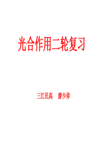 光合作用二轮复习(上课用)